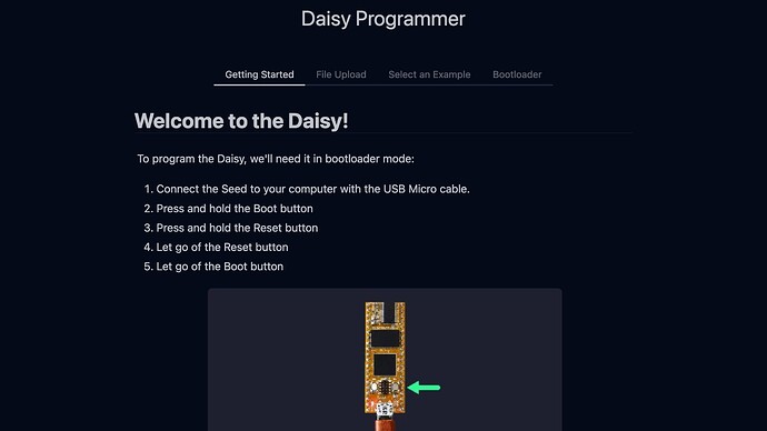Web_Programmer_Main_1